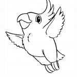 زرافه جادویی - رنگ آمیزی پرنده طوطی