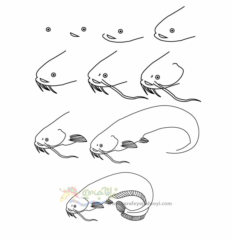 آموزش قدم به قدم نقاشی ساده گربه ماهی