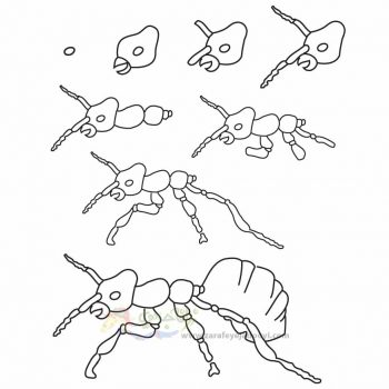 زرافه جادویی-نقاشی ساده مورچه