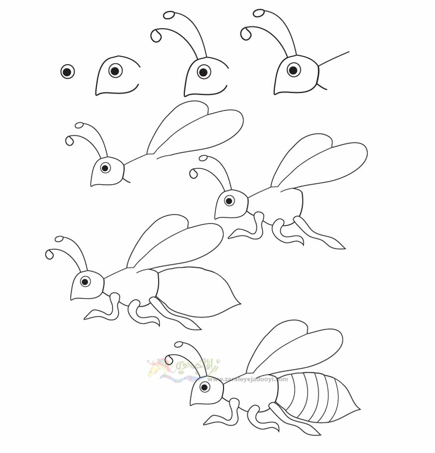 آموزش قدم به قدم نقاشی ساده زنبور