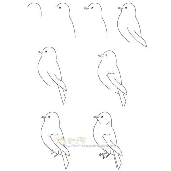 زرافه جادویی-نقاشی ساده پرنده