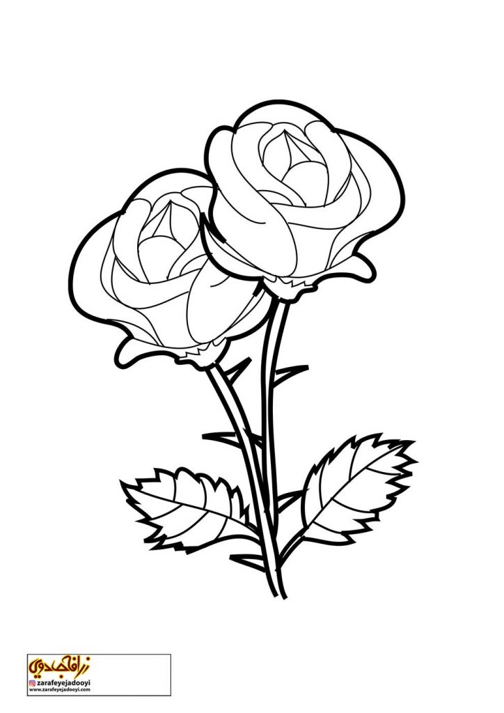 طراحی گل رز ساده با مداد