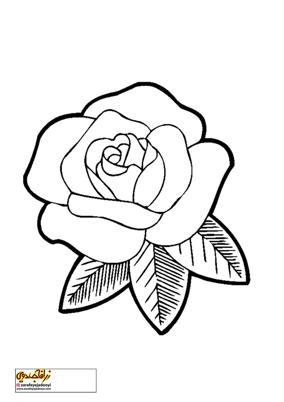 عکس نقاشی گل رز ساده