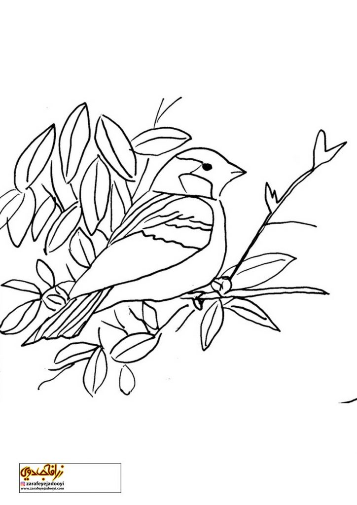 نقاشی پرنده کودکانه ساده