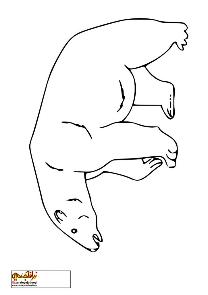 نقاشی ساده خرس قطبی برای رنگ آمیزی کودکان
