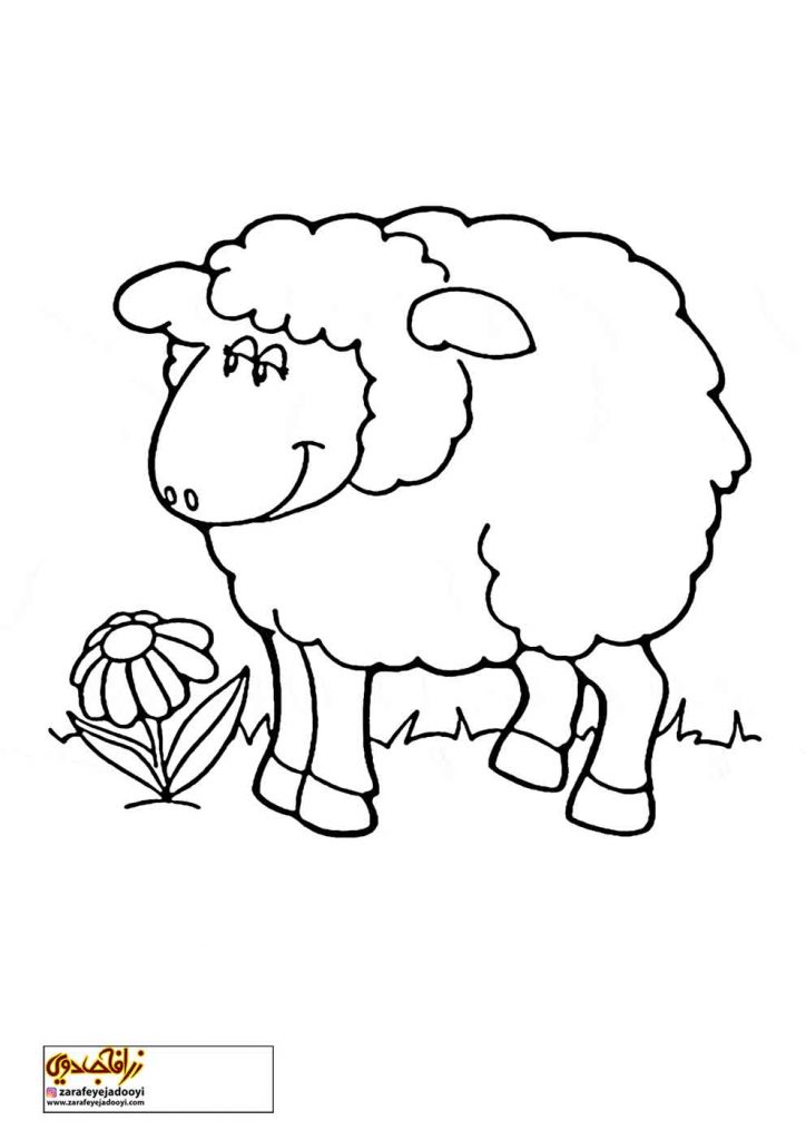 نقاشی ساده گوسفند برای رنگ آمیزی کودکان - نقاشی گوسفند برای کودکان 1