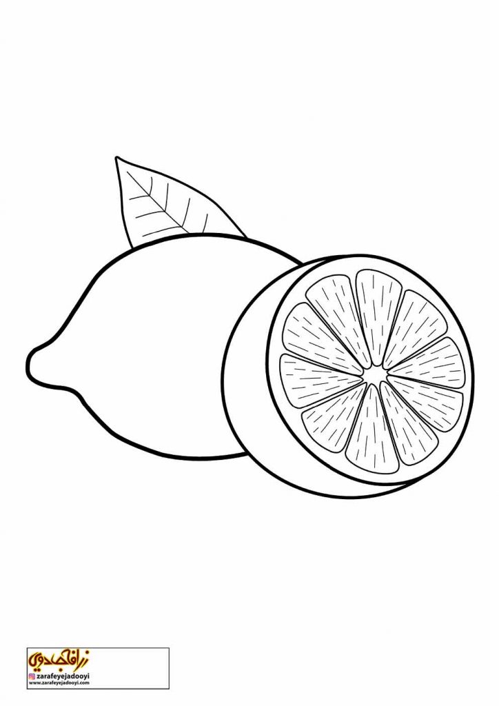 نقاشی میوه لیمو برای رنگ آمیزی