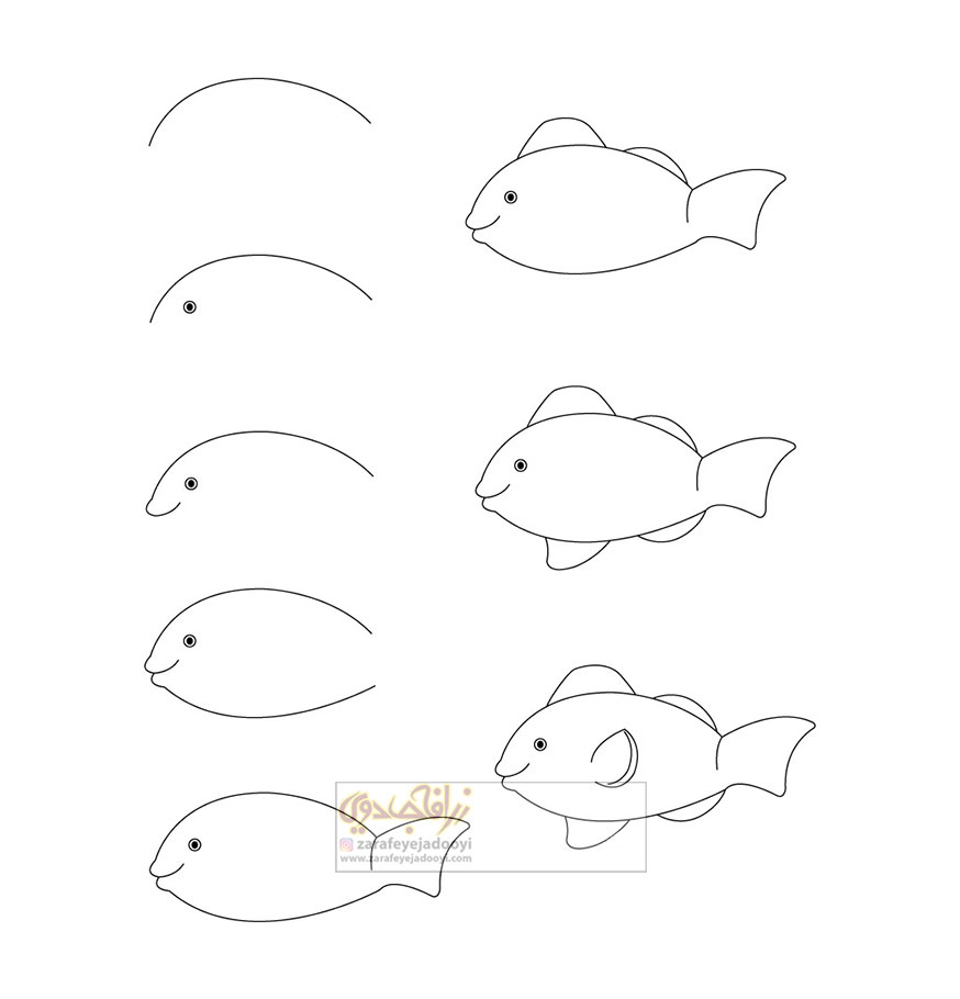 آموزش قدم به قدم نقاشی ساده ماهی 3