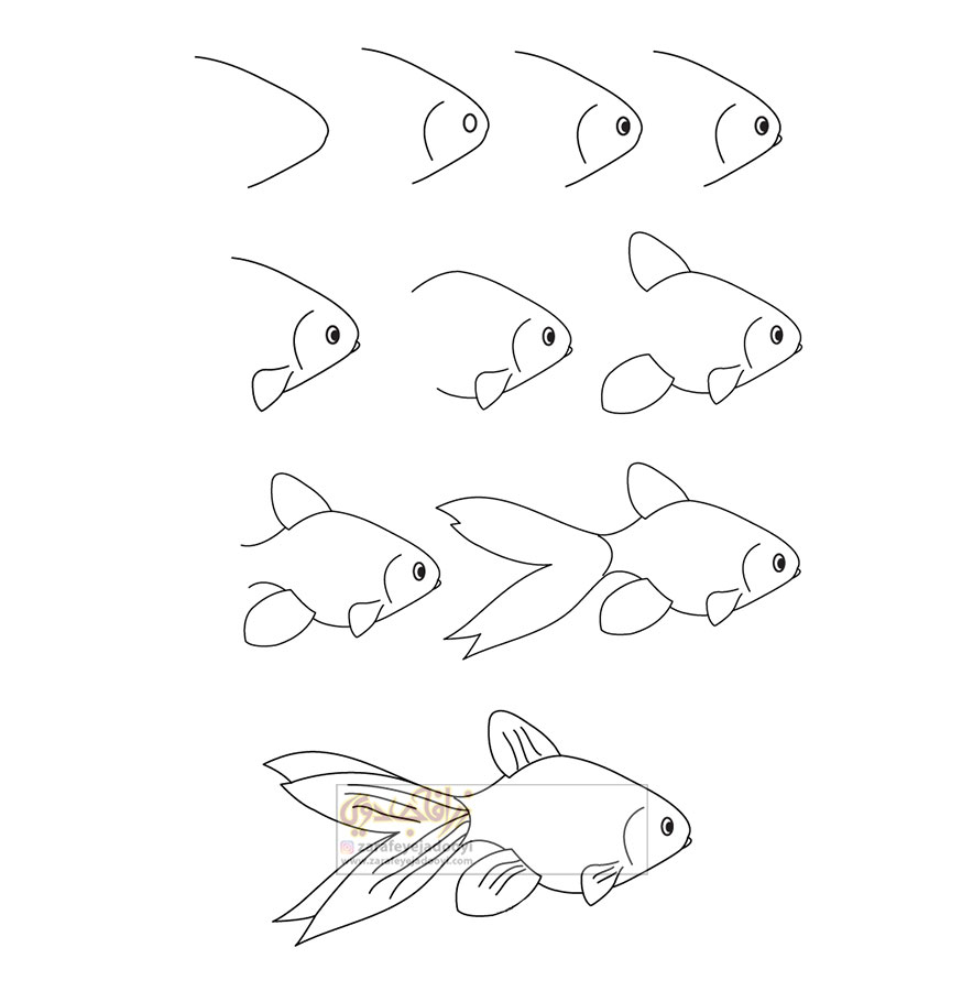 آموزش قدم به قدم نقاشی ساده ماهی