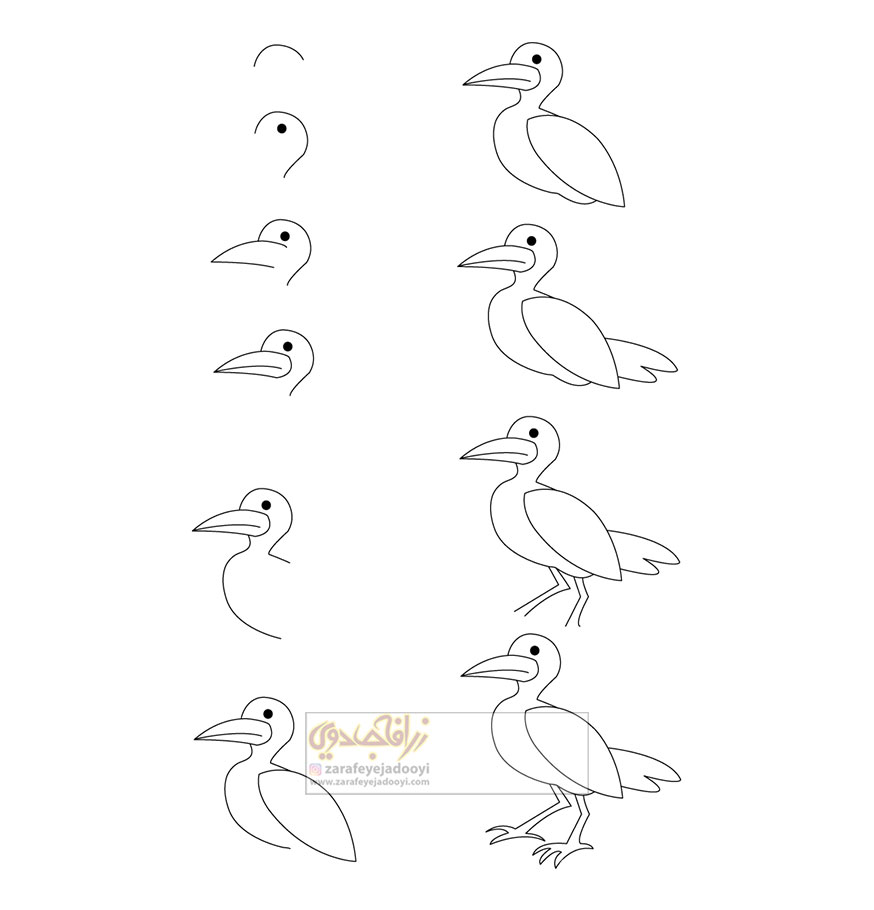 زرافه-جادویی-نقاشی-ساده-مرغ-دریایی