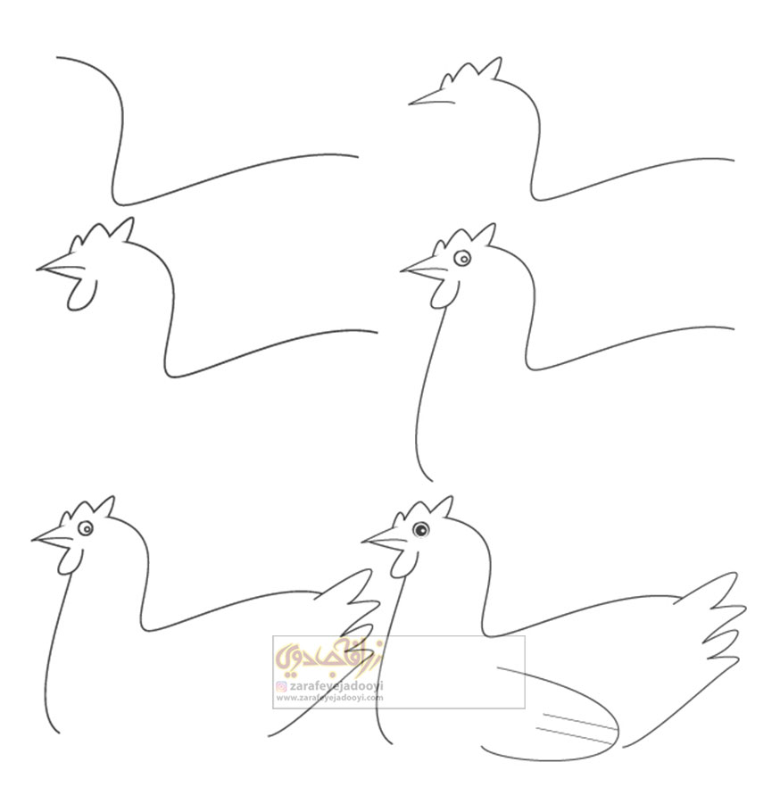آموزش قدم به قدم نقاشی ساده مرغ