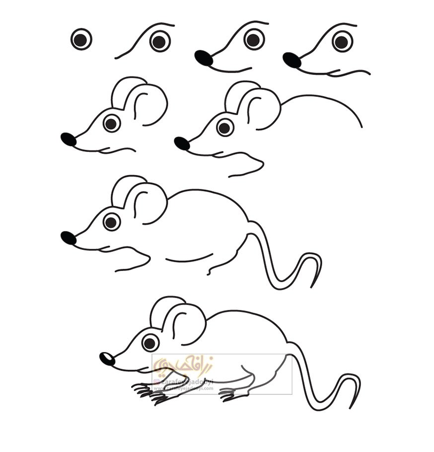 آموزش قدم به قدم نقاشی ساده موش 2