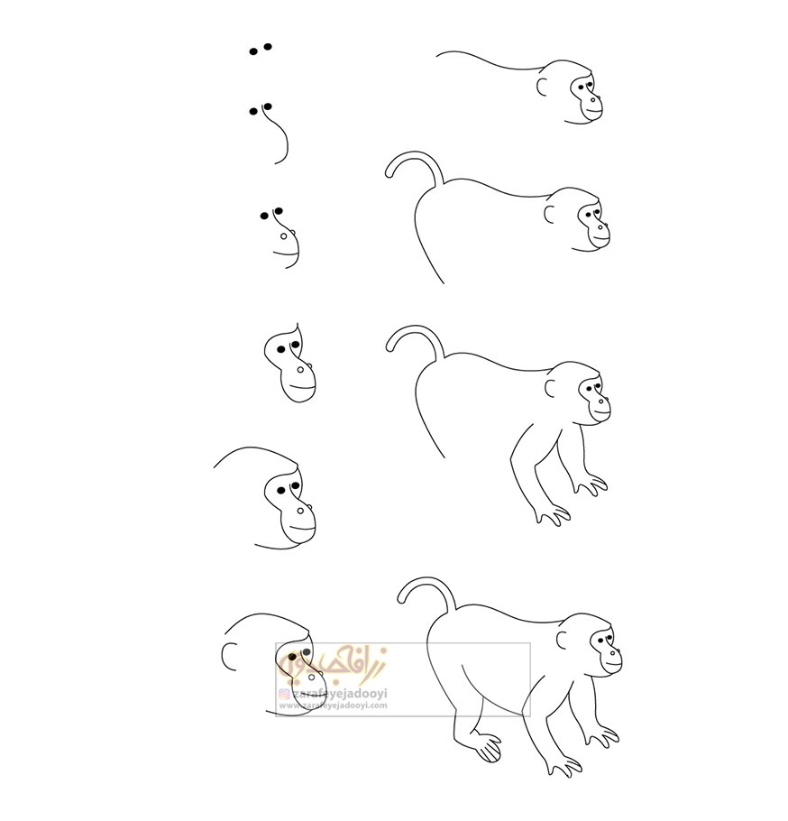 آموزش قدم به قدم نقاشی ساده میمون