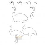 زرافه-جادویی-نقاشی-ساده-پرنده-شترمرغ
