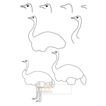 زرافه-جادویی-نقاشی-ساده-پرنده-شترمرغ